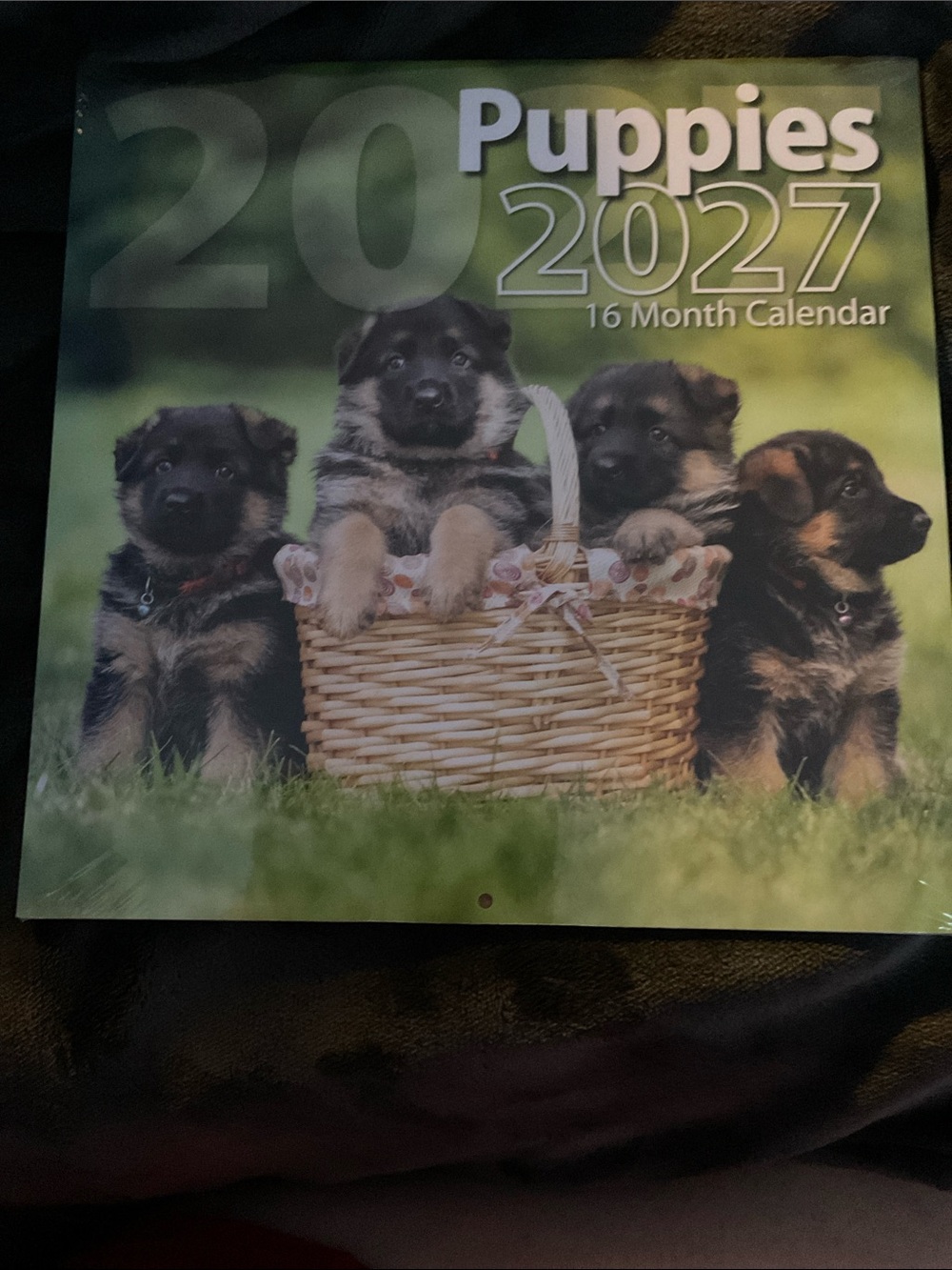 2027 Puppies Calendar